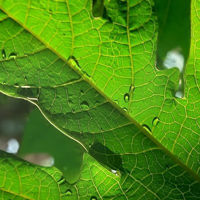 Vikram51423078's profile picture. Just Enjoy...