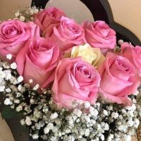 جـواهر (@quo_jee) Twitter profile photo