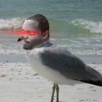 Beanie Seagull(@DaBlackHoward) 's Twitter Profileg