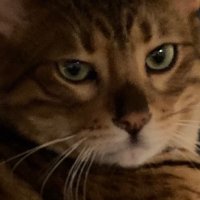 CommonSense MD (@commonsensemd1) 's Twitter Profile Photo CommonSense MD (@commonsensemd1) 's Twitter Profile Photo