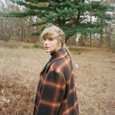 if u love taylor swift 🥴 let’s be friends!