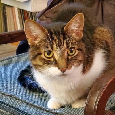 melscott98's profile picture. 