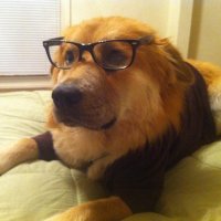 š¤·š»āāļø (@armyofskeletons) 's Twitter Profile Photo š¤·š»āāļø (@armyofskeletons) 's Twitter Profile Photo