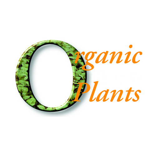 organicplantsuk Profile Picture