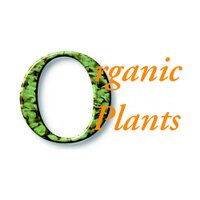 Jill Vaughan - @organicplantsuk Twitter Profile Photo