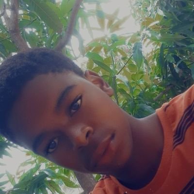 Nelson83445843's profile picture. 