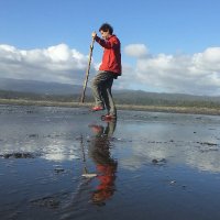 Montaraz (@cocheojeda) 's Twitter Profile