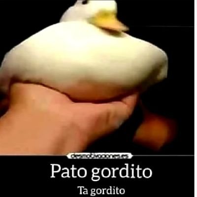 AngelToffo