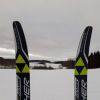 Aaro (@aarotin) 's Twitter Profile