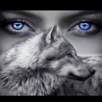 Lady Wolfpack Basketball (@ladypackbb) 's Twitter Profile
