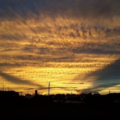 Joshan17's profile picture. 모든 것이 내 안에 있다. 내 생각과 믿음 속에 모든 것이 존재한다고 하는데 그 생각과 믿음이 허상이라 나는 존재하지 않는다. 어느 고승의 화두입니다