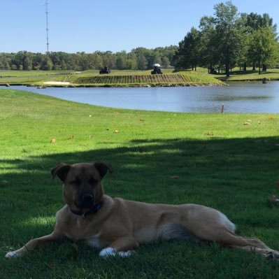 Superintendent The Falls Golf Club, Father of two Knuckleheads, Husband to Perfection, and 2003 National Walk Mowing Champion