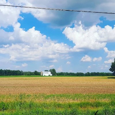 A magazine of literature and criticism centering America's heartland.
Co-founding editors: @theoryjoe1 and @Meganneary2