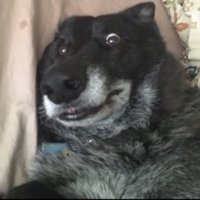 Clutchezz (@ciutchezz) 's Twitter Profile