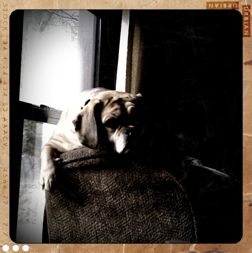 klearle's profile picture. Retired and Enjoying Life