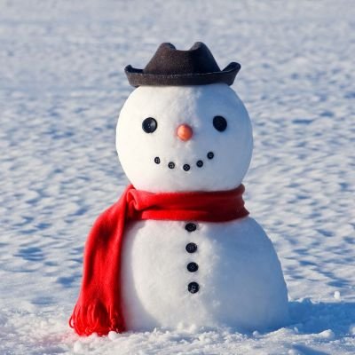 Just a little snowman trying to make a difference in a big world💙🌎 ⛄️🌎💙