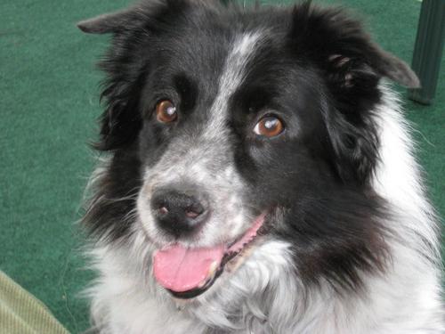 BevJD24's profile picture. Proud Canadian & Liberal supporter.