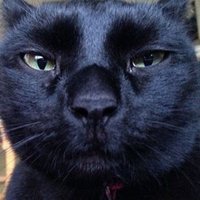 Mimi (@mimi70115221) 's Twitter Profile