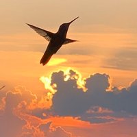 suesue (@susan032302) 's Twitter Profile Photo