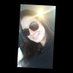 Belen (@belen68968539) Twitter profile photo Belen (@belen68968539) Twitter profile photo