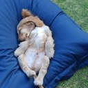 Dave Sutton - @davesutton123 - Twitter