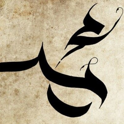 Zineddine1460's profile picture. 