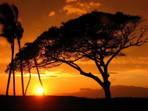 Owens_Doug's profile picture. Director of Operations - Brookfield Residential in Calgary Alberta. *Tweets r Mine*