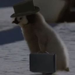 PenguWandering's profile picture. Certified Degen
Will retweet NSFW so follow at your own risk.
Current Addiction: Star Citizen
Referral Code: STAR-FQ9C-YX2M
Sporadic Scuffed Streamer on Twitch