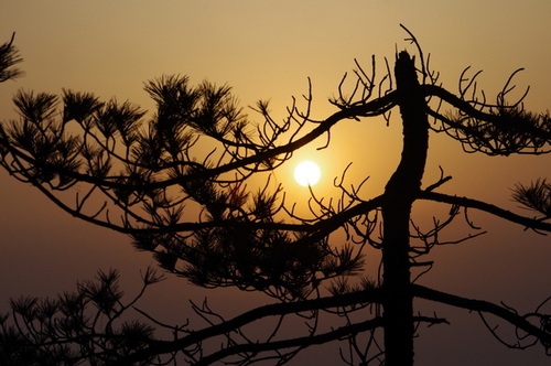 explosivealan's profile picture. 