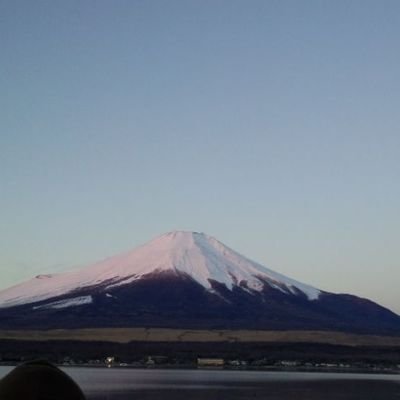 備忘録感覚で気になった事などをツイートしています。