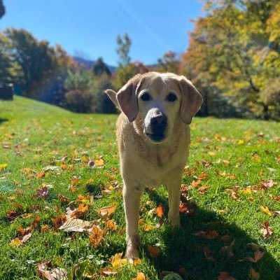 Living in the mountains of Vermont with my two daughters, hubby and yellow lab. Child & Family Therapist, swim, ski, hike & yoga.