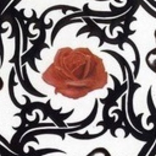 gonzo9955's profile picture. music room