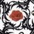 gonzo9955's profile image