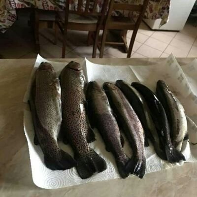 Gpaolo89390201's profile picture. fantasioso