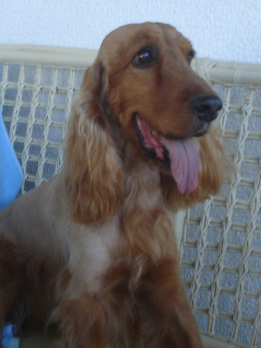 SilviaSantos4's profile picture. Trabalhadora, vivendo em Fortaleza a anos, batalhando sempre para uma vida melhor.