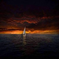 Thanh Phan (@thanhphanthd) 's Twitter Profile Photo Thanh Phan (@thanhphanthd) 's Twitter Profile Photo