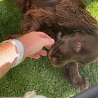 Alex.Strong (@alexstrong3) 's Twitter Profile