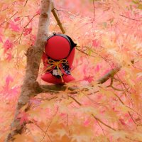 Aki (@bartender_a_) 's Twitter Profile