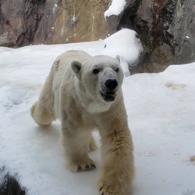 MT_ASAMIDAKE's profile picture. 