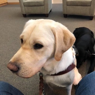 NancyVB1986's profile picture. I love what I do.