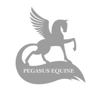 pegasusequine(@ukpegasusequine) 's Twitter Profile Photo