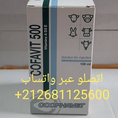 علاجات اصلية التوصيل الى الامارات اتصلو على واتساب
+212681125600
الدفع عند الاستلام في ابوضبي