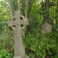 Camberwell Cemeteries(@SouthwarkWoods) 's Twitter Profile Photo