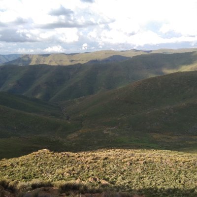 Thebe29676338's profile picture. Monna oa Mosotho ea lilemo li mahareng😜