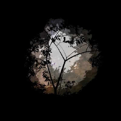 rishanmohd285's profile picture. 