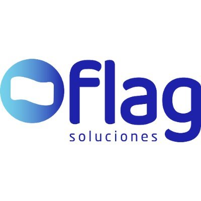 Flag Soluciones Profile