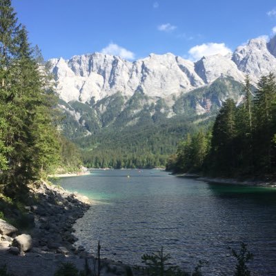 ebbfeld's profile picture. 