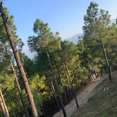 A_normal_one20's profile picture. A Free Thinker