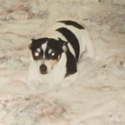 averagegamr87's profile picture. 