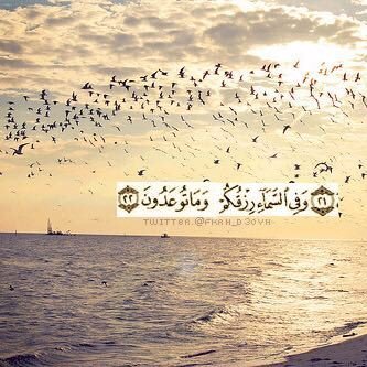 شرهة الميت على بيض النوايا
يوم يحتاج الدعاء هم غافلين
بعثروا صمت المقابر بالهدايا
و امطروها .. بالدعاء للميتين ،،